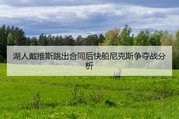 湖人戴维斯跳出合同后快船尼克斯争夺战分析